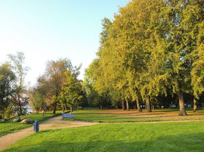 AC MILANSPORTS-草地网球公开赛郑钦文首次闯入八强，超霸世家代言人